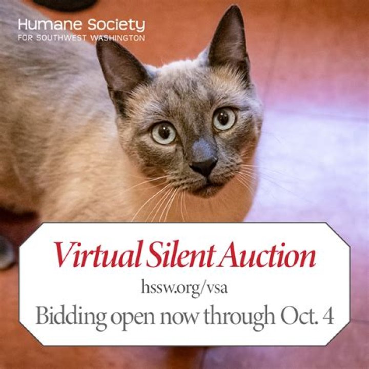 125424_Bolly4 Humane Society for Southwest WA Flickr