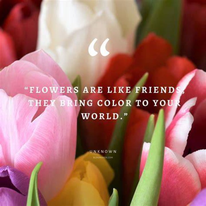 42 Beautiful Flower Quotes Word Porn Quotes, Love Quotes, Life Quotes, Inspirational Quotes
