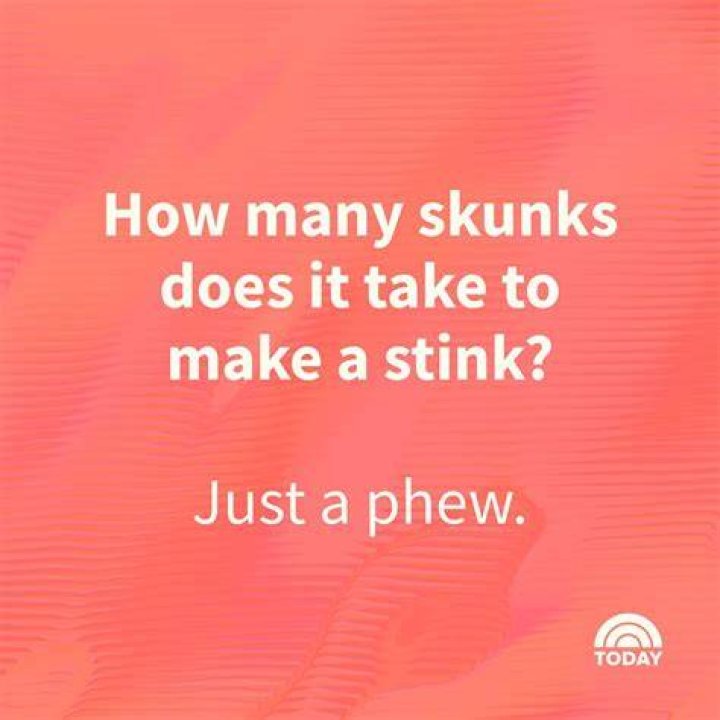 67 BEST Funny Jokes for Teens 2024 😜 (Unique Puns CopyPaste)