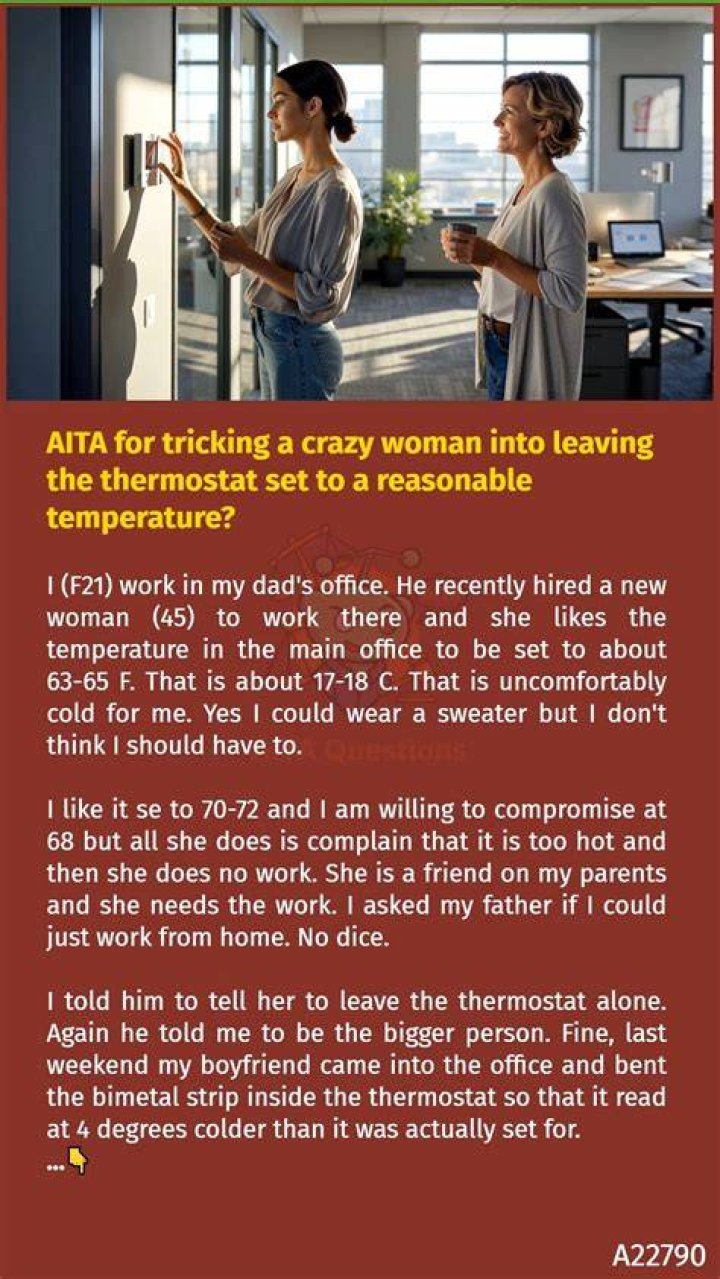 A comment on the AITA forum | Source: Reddit