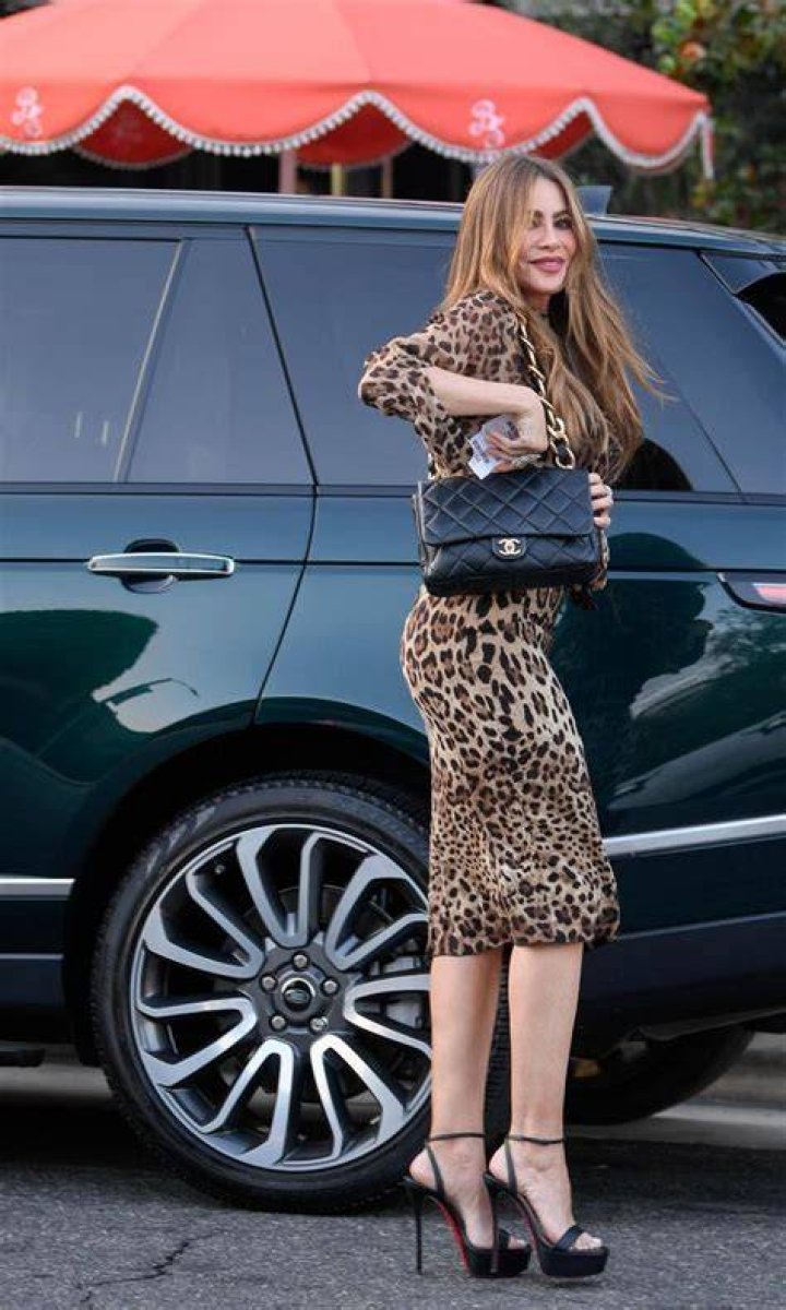 agt sofia vergara leopard print cut out dress dupe