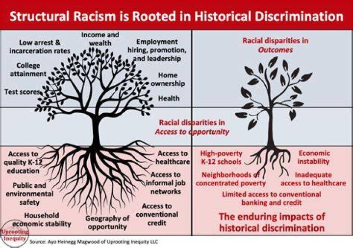 Analysis Racial inequity in who takes career, tech courses