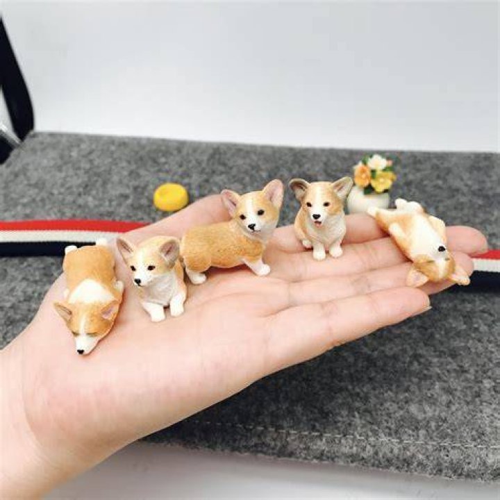 corgi decoration