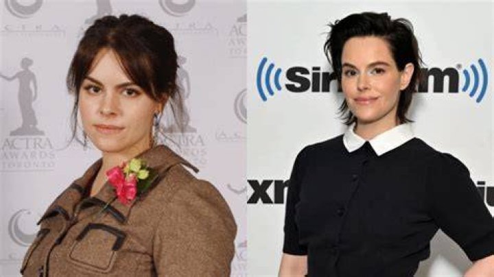 Did Emily Hampshire Undergo Plastic Surgery? Did Emily Hampshire Undergo Plastic Surgery?