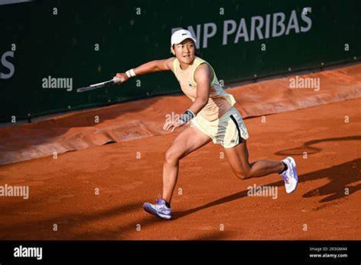 Does Tennis Player Harmony Tan Come From An Asian Descent