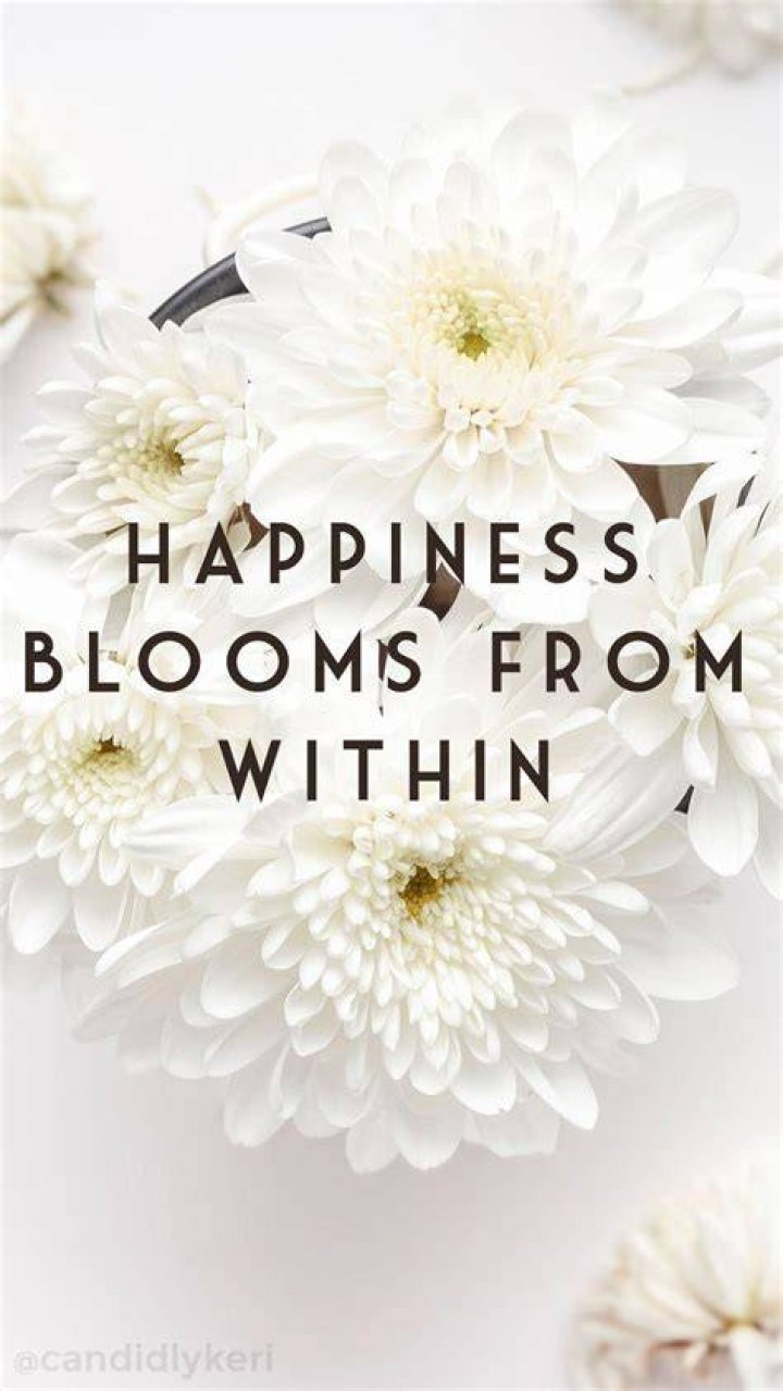 Flower Quote iPhone Wallpapers Top Free Flower Quote iPhone Backgrounds WallpaperAccess