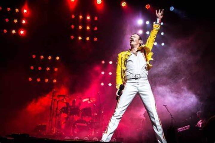 freddie 