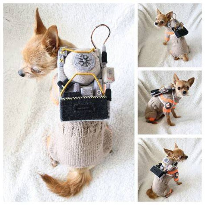 ghostbusters dog costume