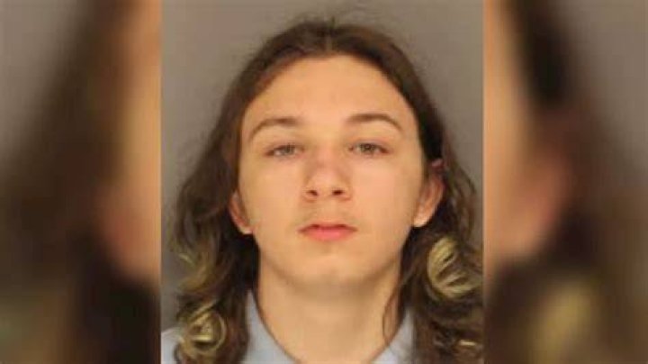 Girl, 14, sentenced to seven years in juvenile prison for killing Uber Eats driver