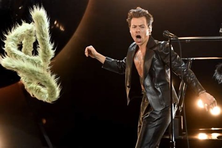 harry black boa