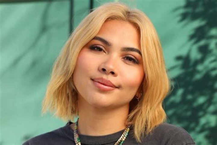 Hayley Kiyoko racisit tweets