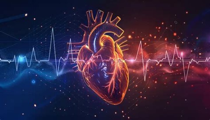 heartbeat