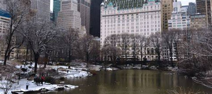 home alone central park