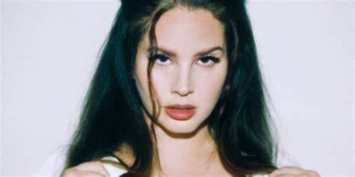 How Did Lana Del Rey'S Boyfriend Die tsihot