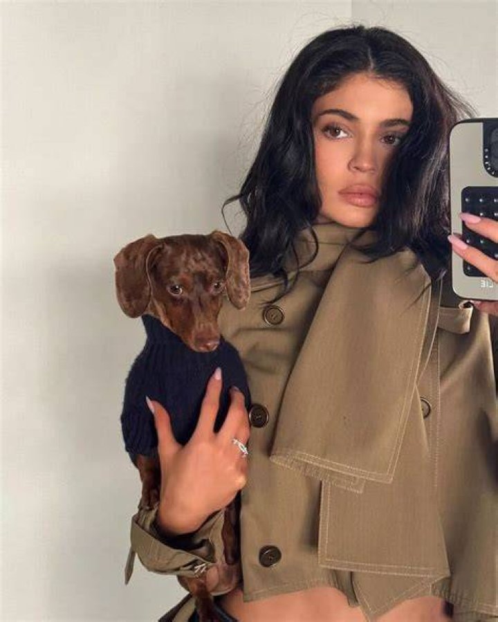 Kylie Jenner has a dog nanny for her 7 pooches