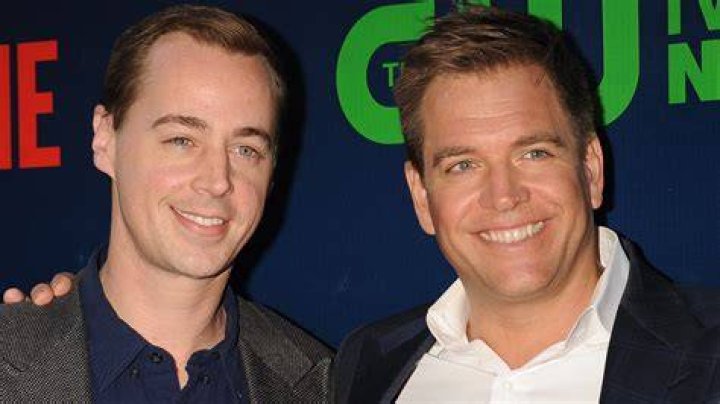 Michael Weatherly, Sean Murray and Mark Harmon