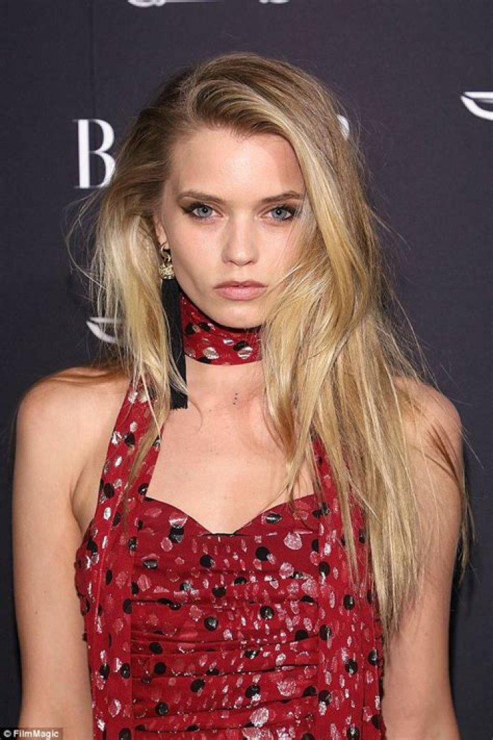 Modelling: In 2018, Abbey (pictured during the 2008 Victoria's Secret Fashion Show) spoke about the treatment of models after she fainted on Alexander McQueen's runway in 2008