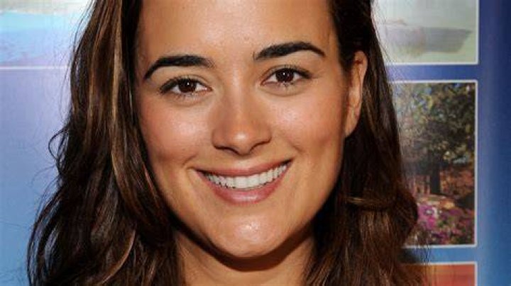 NCIS stars' famous families revealed: Mark Harmon, Michael Weatherly, Sean Murray and more