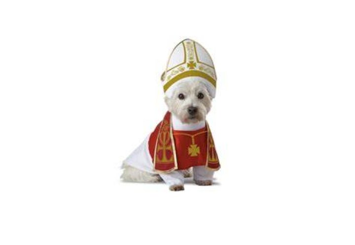 pope dog costume