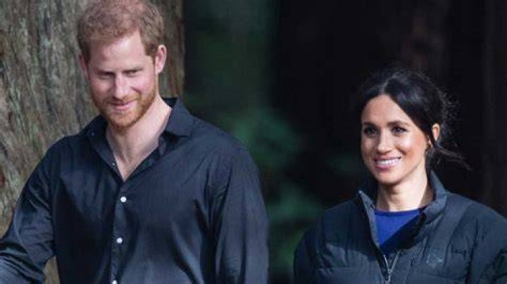prince harry meghan markle boxing