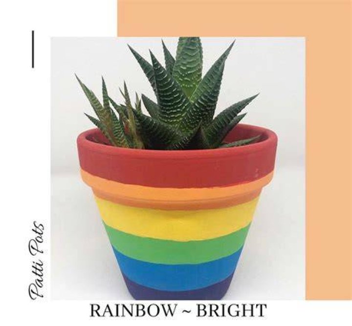 rainbow plant pot