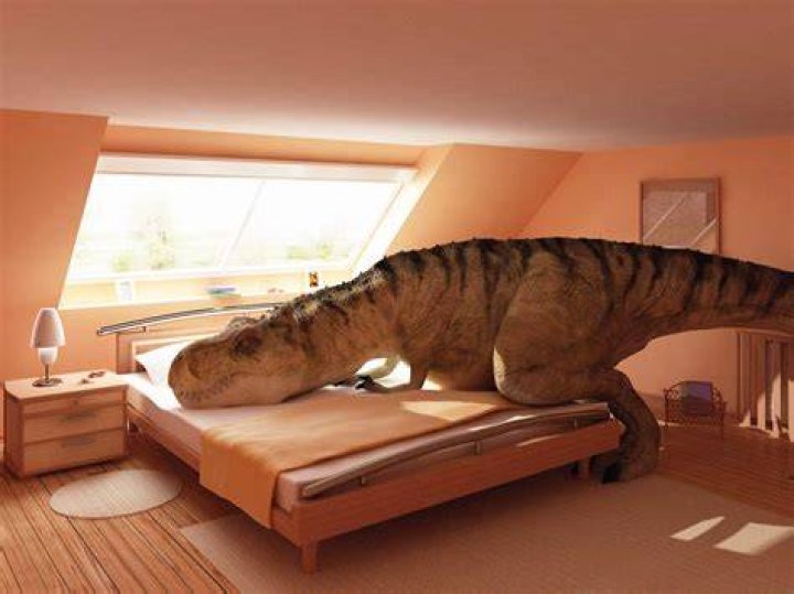 Rex in his bedroom with a panda theme 