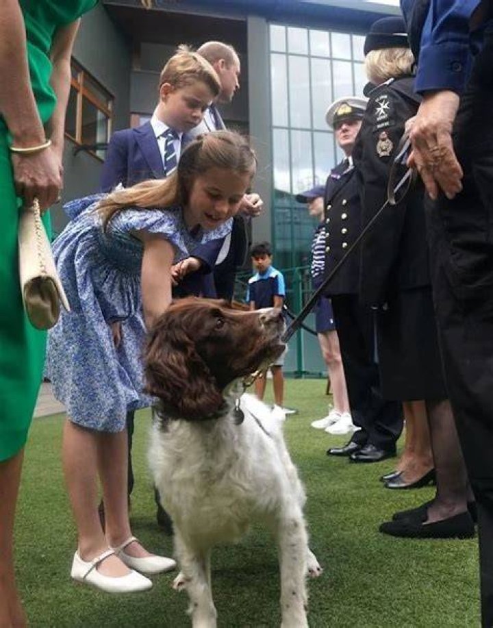 Royals pictured with furry friends: from Princess Kate's playful pup to King Charles' piggy pal