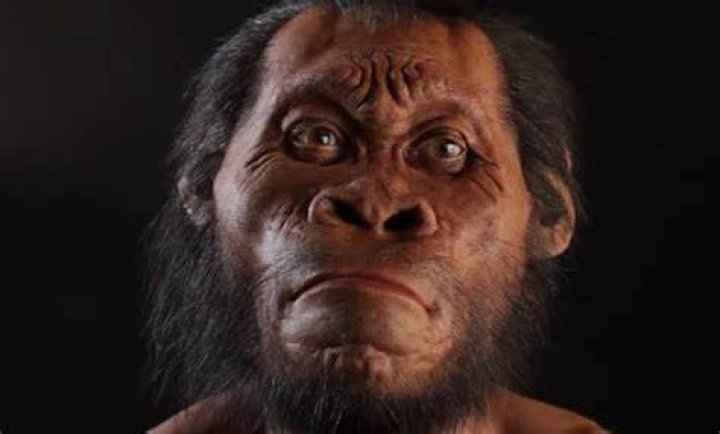 Scientists uncover evidence showing mysterious human species buried their dead and carved symbols 100,000 years before humans (photos)”margin: auto;