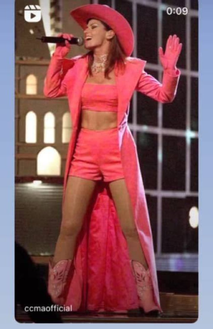 shania twain pink abs