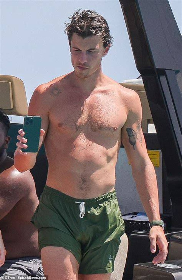 Shawn Mendes walked bare-chested near a beach in Santa Monica, California