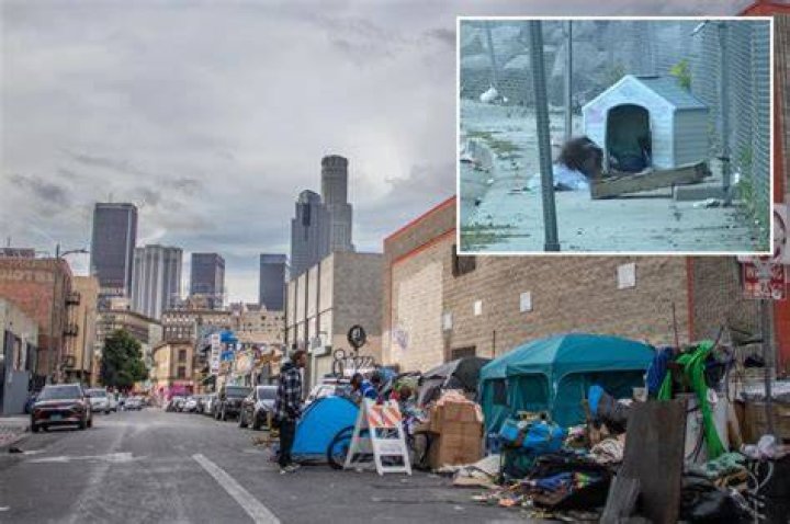 Shocking footage shows a homeless man in a Los Angeles neighborhood kicking a 15-year-old Yorkie terrier named 'Bart' which resulted in a brain injury