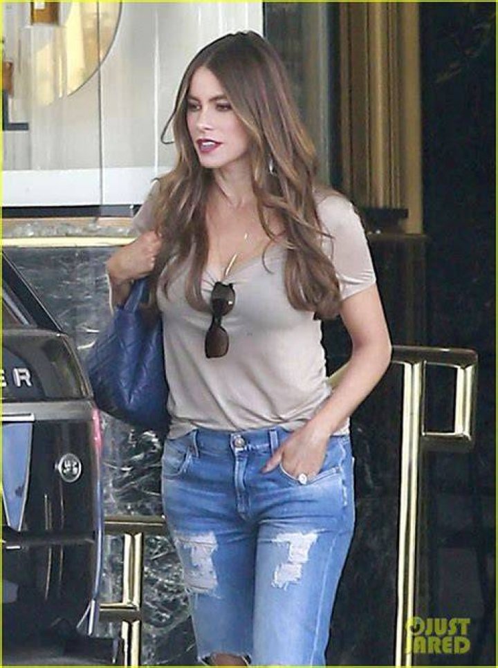 Sofia Vergara shows off her curves in sheer blouse and lace bralette