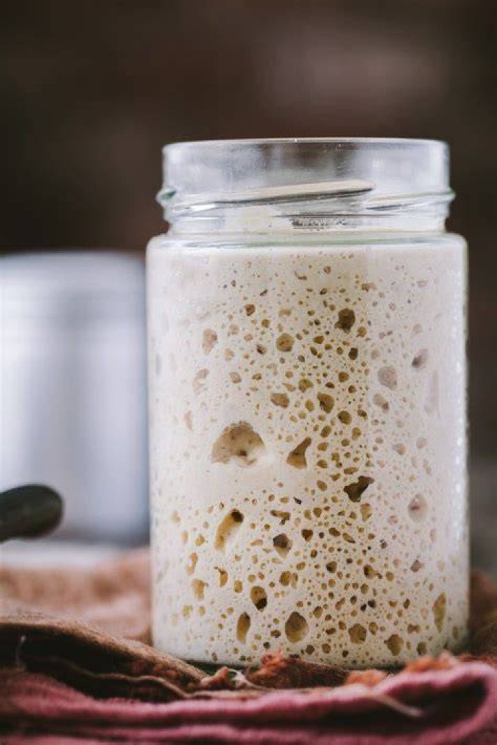 sourdough starter