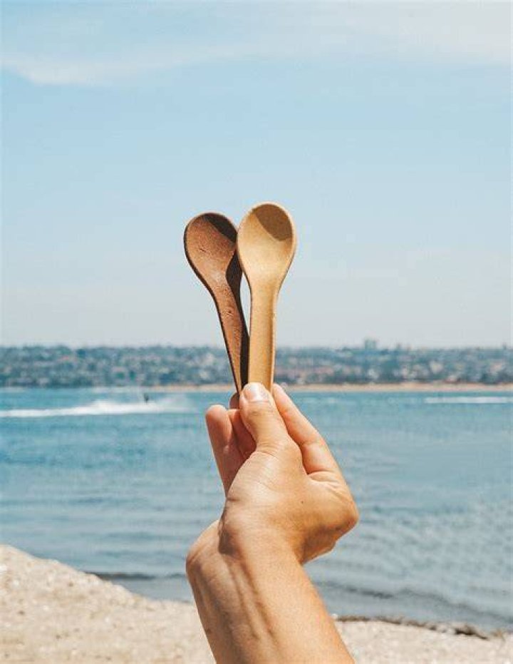 Spoons you can Eat incrEDIBLE eats inc