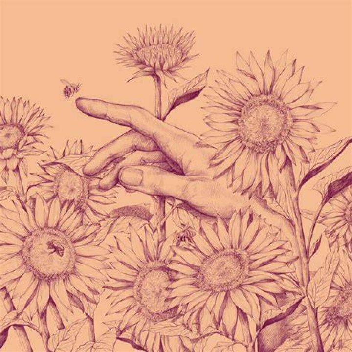 Sunflowers gone wild Behance