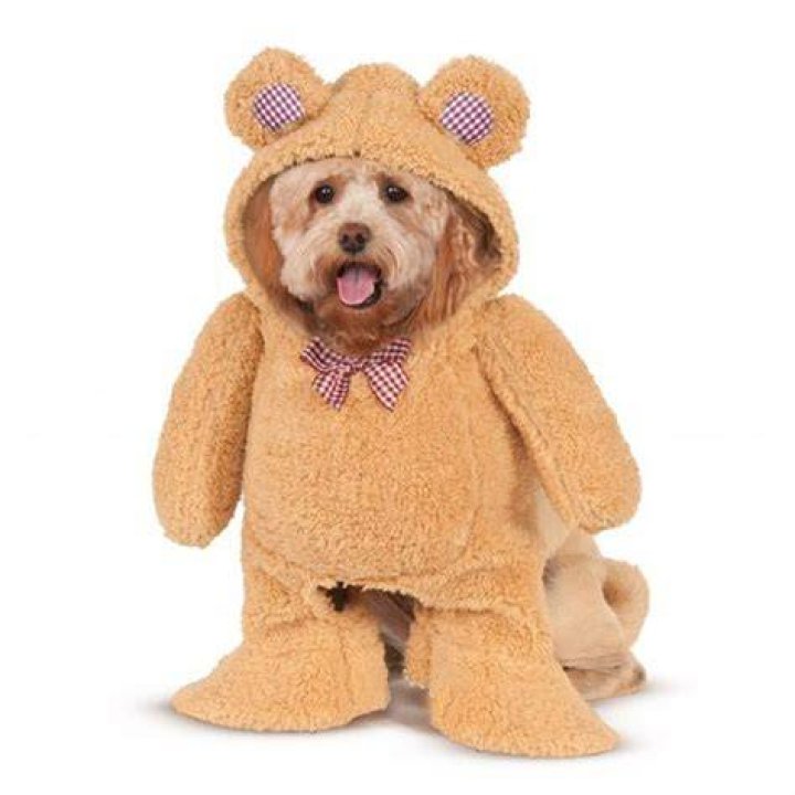 teddy dog costume