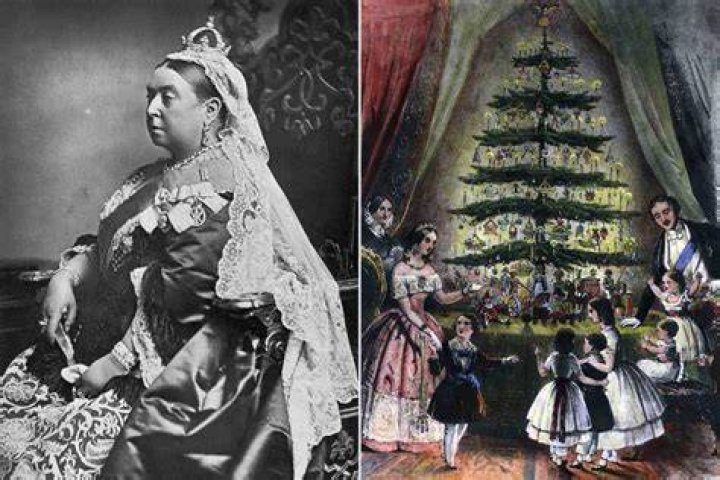 The Queen Christmas tree st georges hall windsor