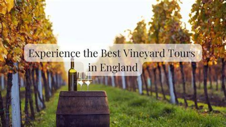 Vineyard Tour