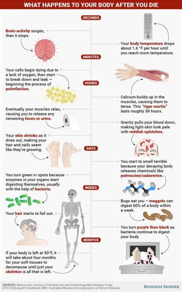 What Happens to Your Body When You Stop Taking Ozempic?