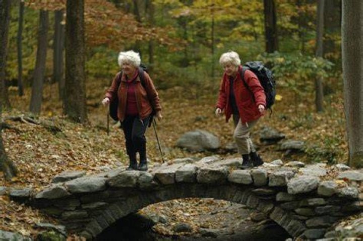Women crossing a stone bridge over rushing beck