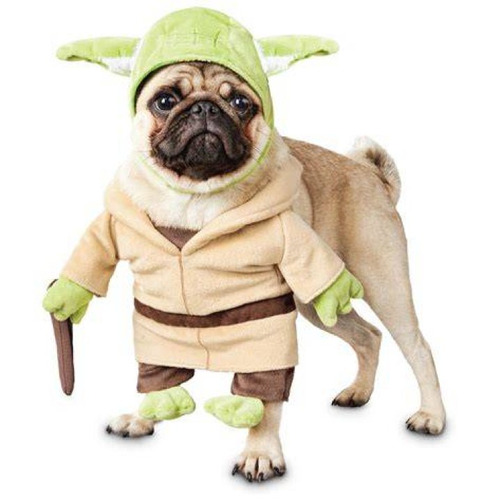 yoda dog costume