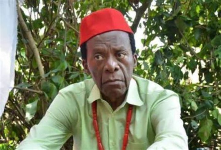 Zulu Adigwe Biography A Captivated Nollywood Icon Unraveled Biographies