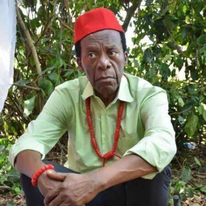 Zulu Adigwe Biography and Net Worth Biography, Net worth, Nigerian movies